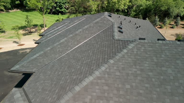 Best Green or Eco-Friendly Roofing Solutions  in USA